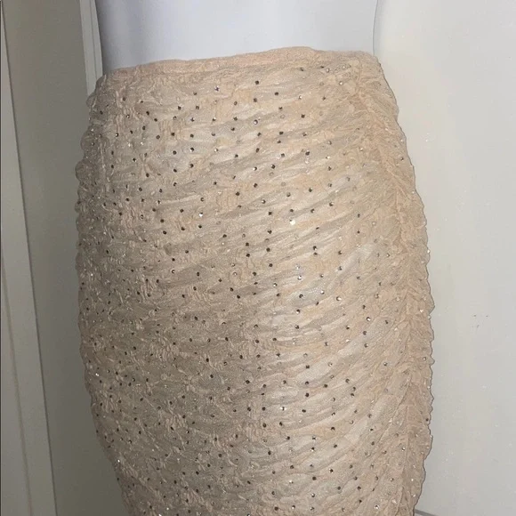 Zara Beige Sequin Skirt - Picture 2 of 3
